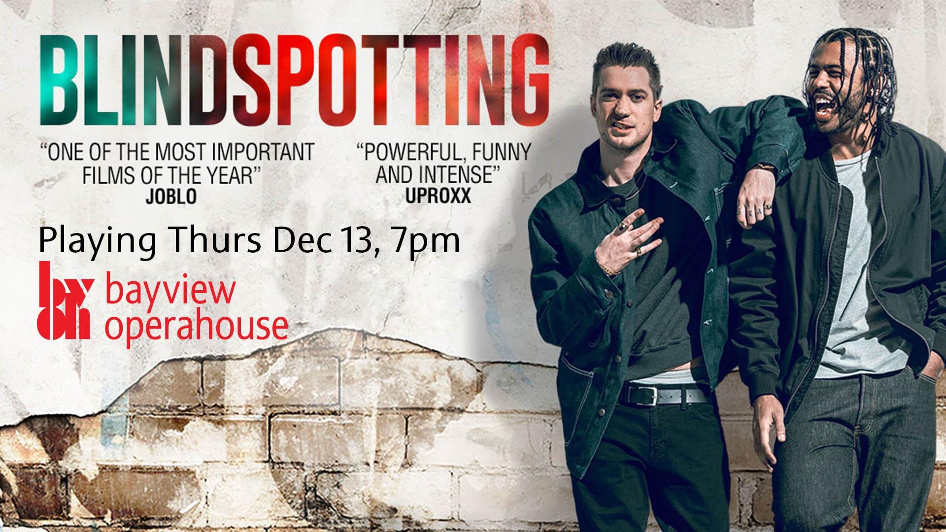 Blindspotting movie